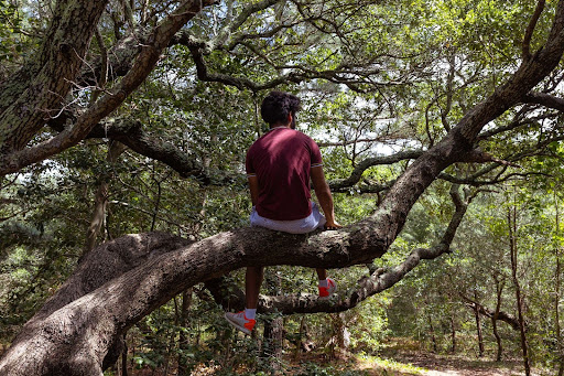 Man enjoying a hike, one of the best things to do in Virginia Beach during the spring