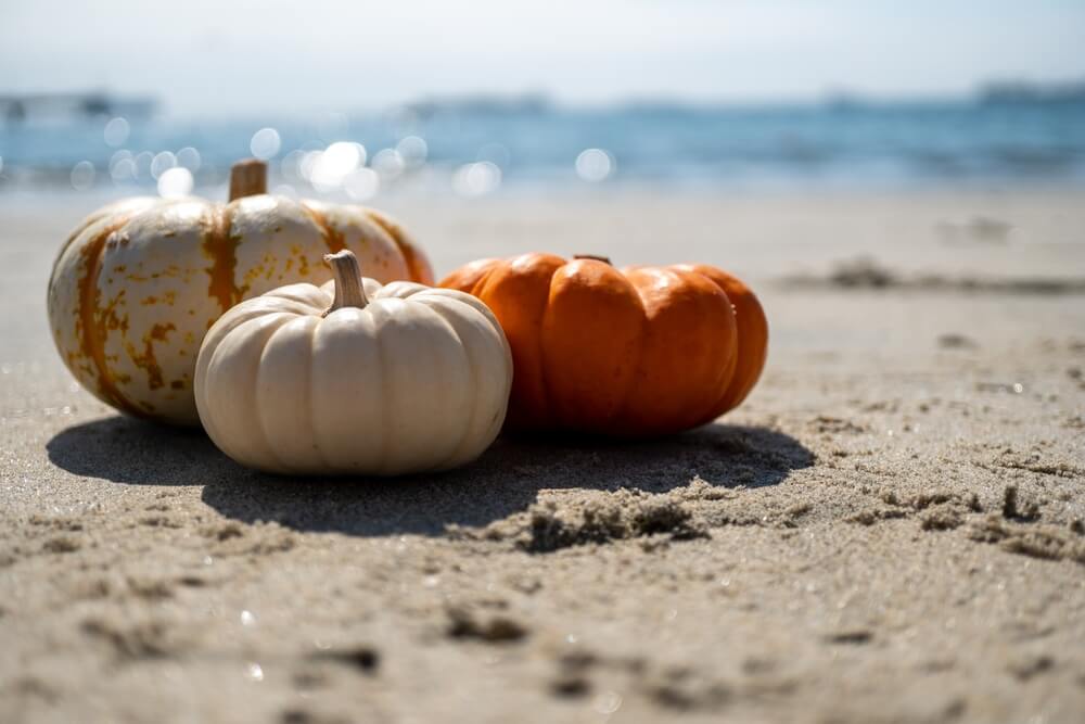 How To Best Experience Virginia Beach in the Fall