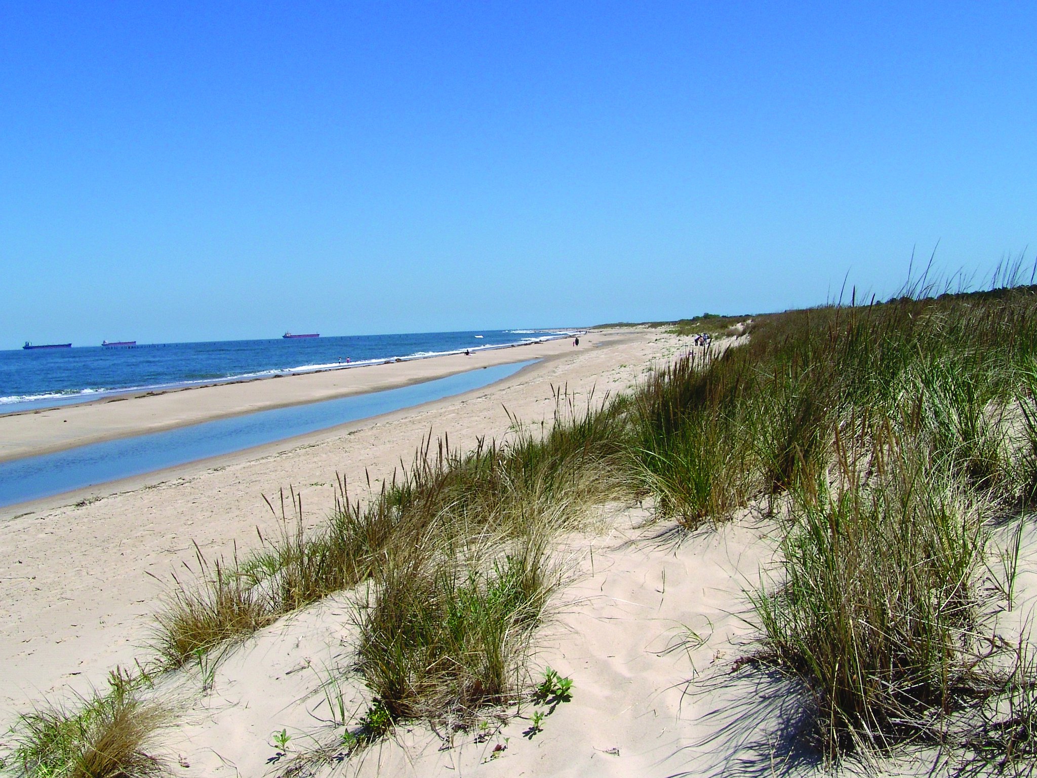 First Landing State Park on the Chesapeake Bay in Virginia Beach