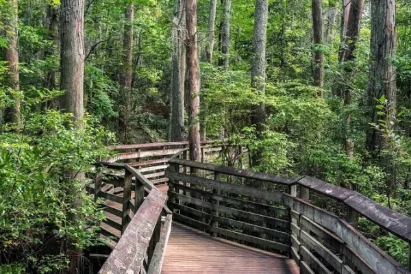 First Landing State Park